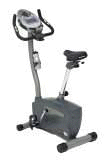 Schwinn 113 Upright Exercise Bike 