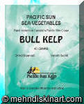 Bull Kelp