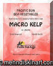 Macro Kelp - Seaweed