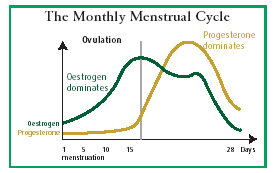The Monthly Menstrural Cycle - Graph
