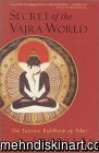 Secret of the Vajra World : The Tantric Buddhism of Tibet (Ray, Reginald a. World of Tibetan Buddhism ; V. 2.)