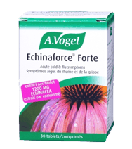 Echinacea Extra Strength Formula - Echinaforce Forte