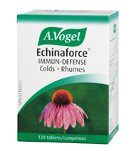Echinacea Tablets 120 - Echinaforce Immune Defence