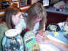Henna Party