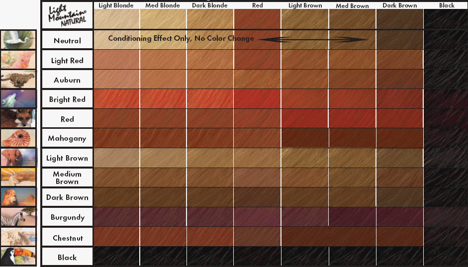 Hair Color Chart Red Brown